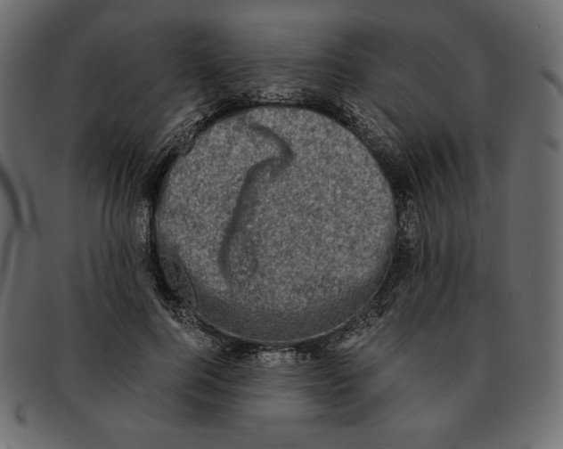 X0000091920744200710031039