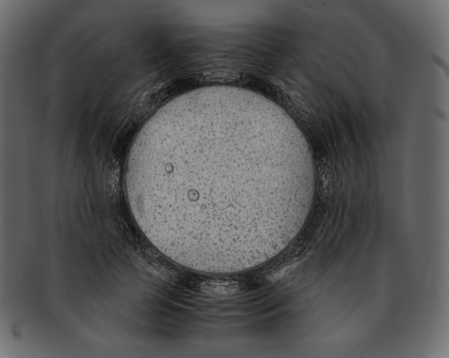X0000091920745200710031039