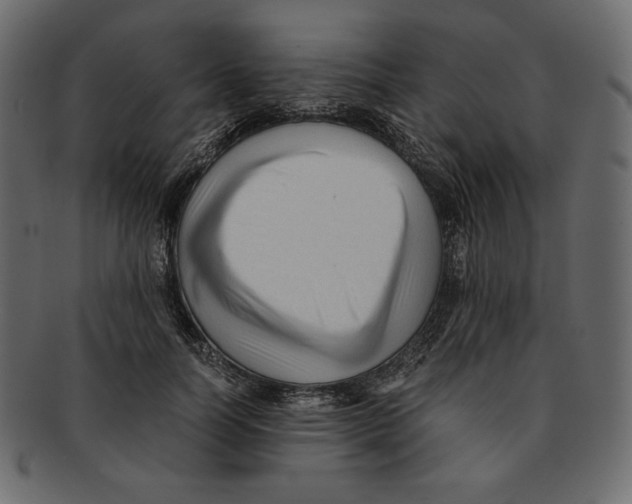 X0000091920746200710031039