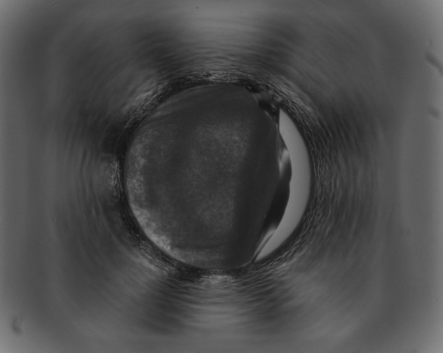 X0000091920748200710031039