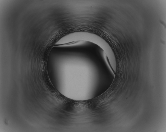 X0000091920750200710031039