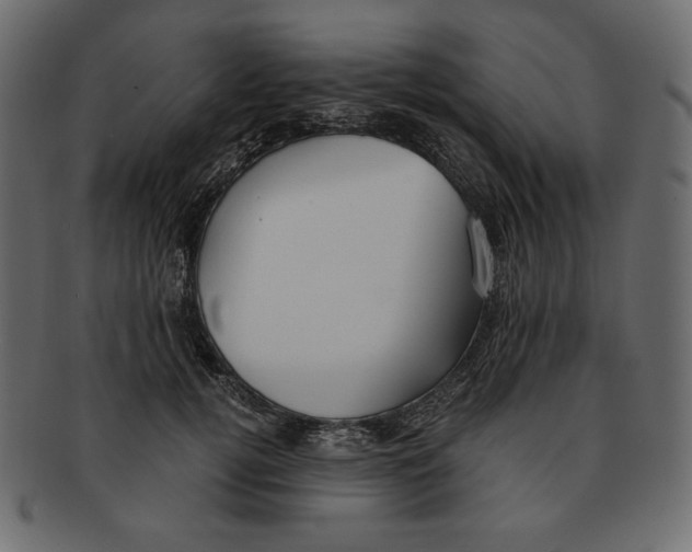 X0000091920752200710031039
