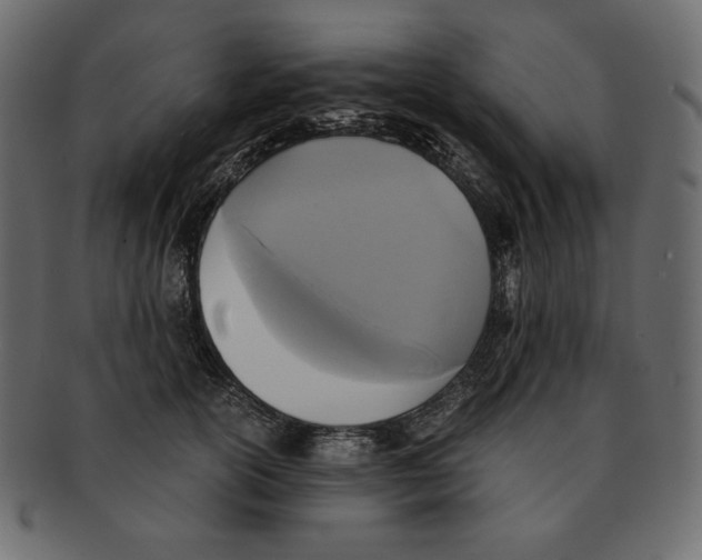 X0000091920754200710031039