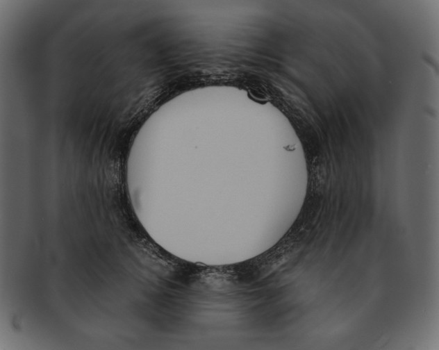 X0000091920756200710031039