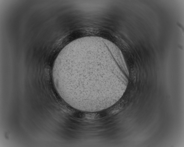 X0000091920757200710031039