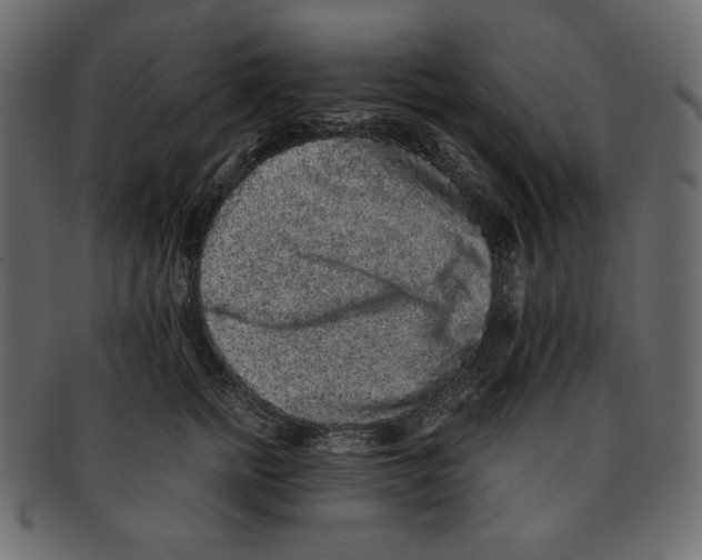 X0000091920758200710031039