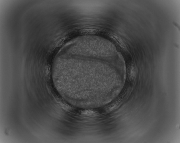 X0000091920759200710031039