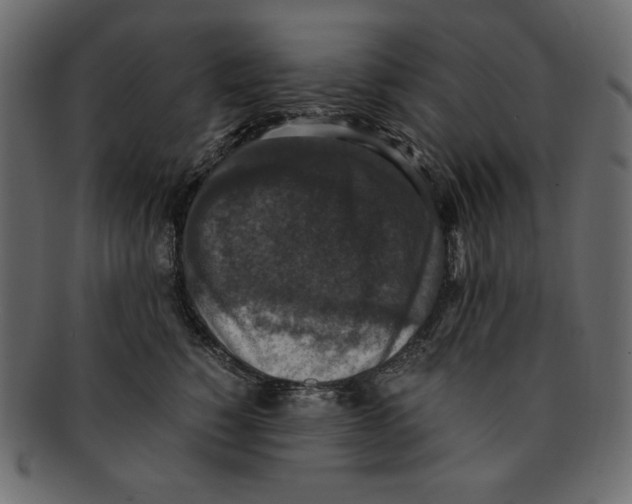 X0000091920760200710031039