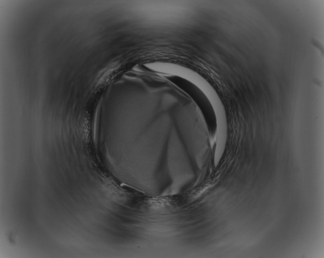 X0000091920762200710031039