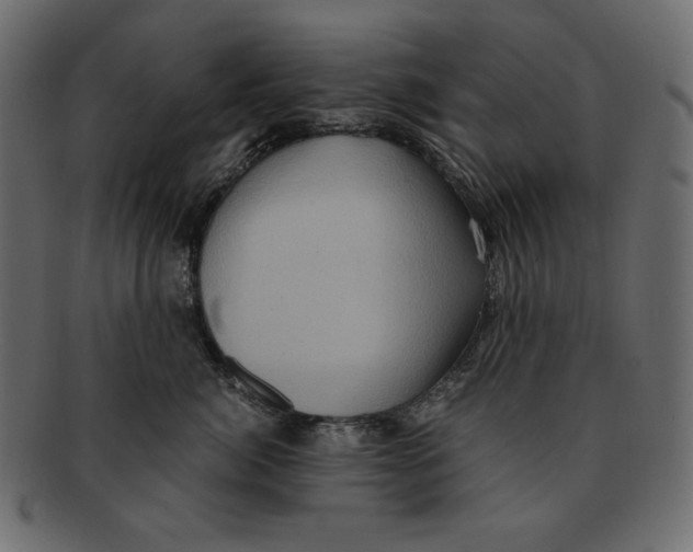 X0000091920764200710031039