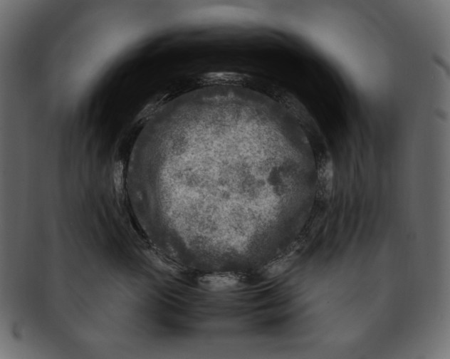 X0000091920765200710031039