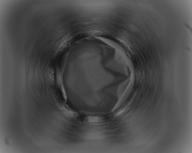 X0000091920766200710031039