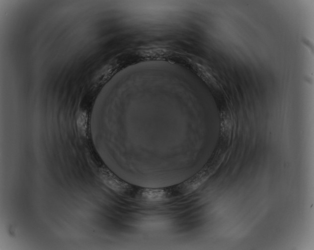 X0000091920767200710031039