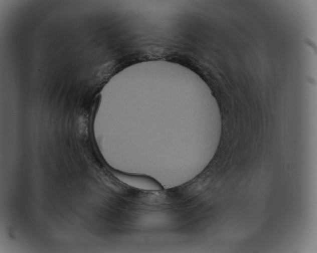 X0000091920768200710031039