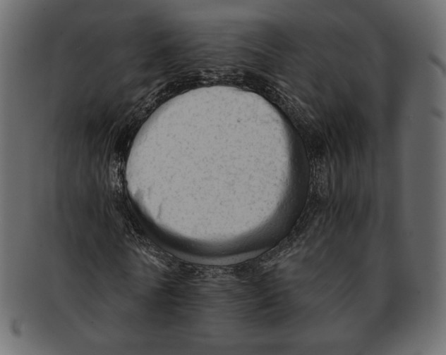 X0000091920770200710031038