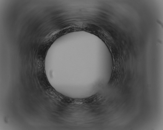 X0000091920773200710031038