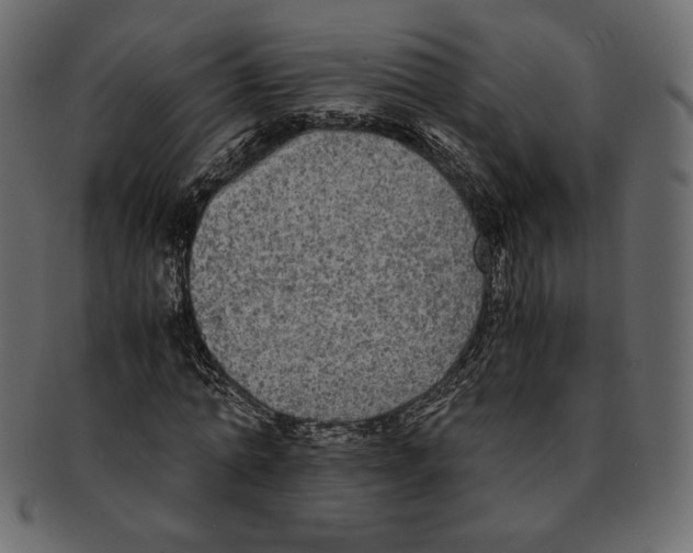 X0000091920774200710031038