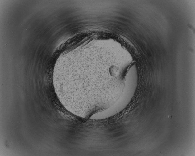 X0000091920775200710031038