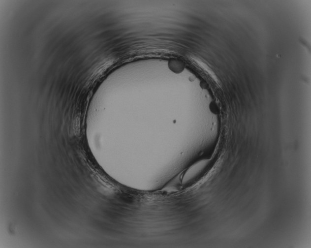 X0000091920777200710031038