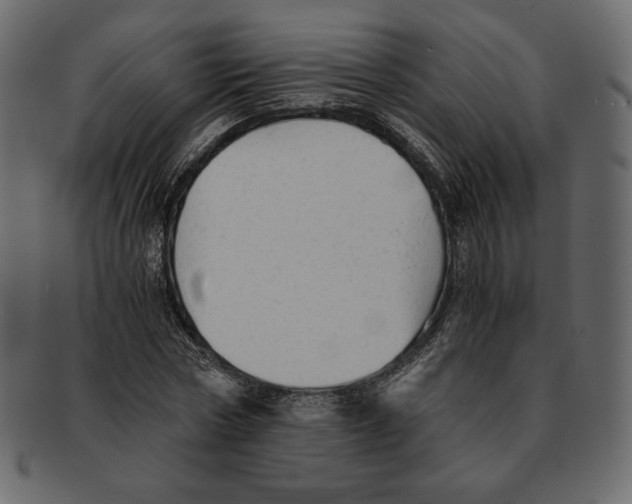 X0000091920778200710031038