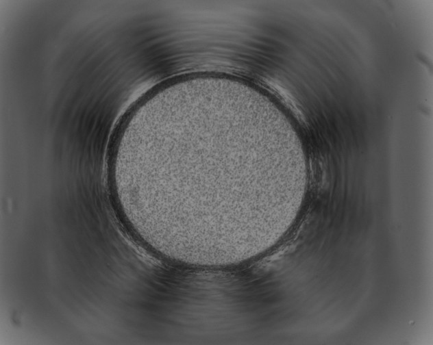 X0000091920780200710031038