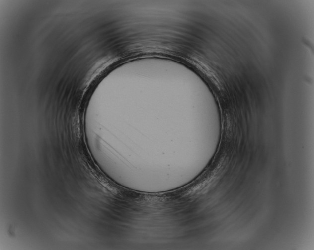 X0000091920782200710031038