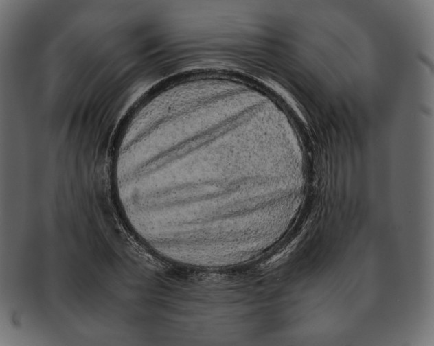 X0000091920783200710031038