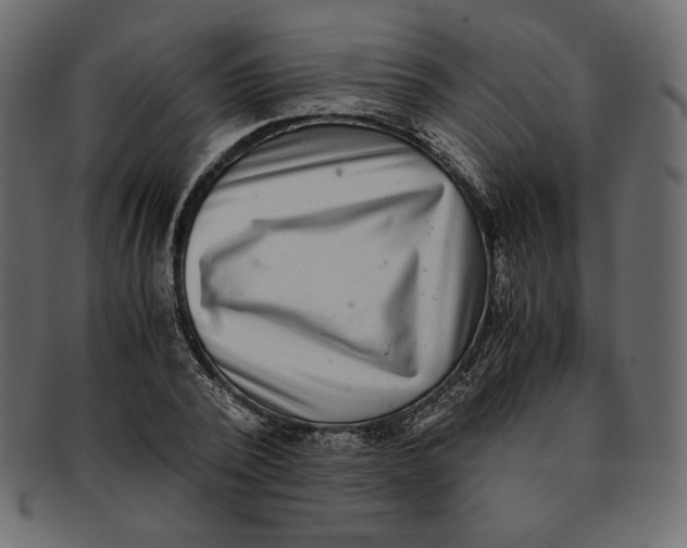 X0000091920784200710031038