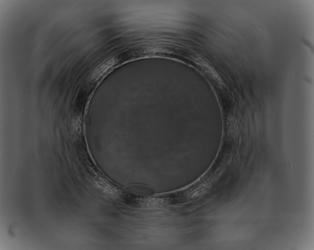 X0000091920785200710031038