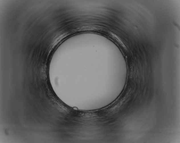 X0000091920786200710031038