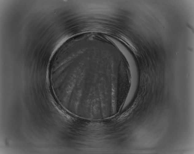 X0000091920788200710031038