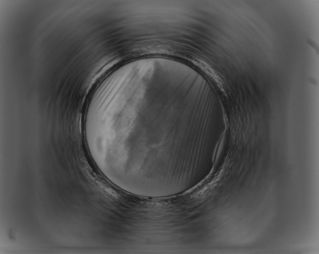 X0000091920790200710031038