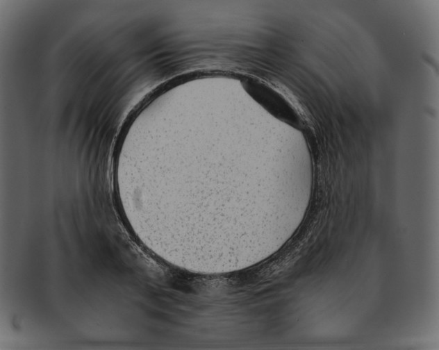 X0000091920791200710031038