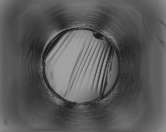 X0000091920792200710031038