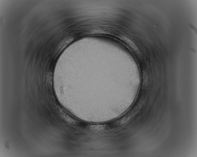 X0000091920793200710031038