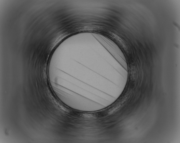 X0000091920794200710031038