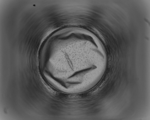X0000091920795200710031038