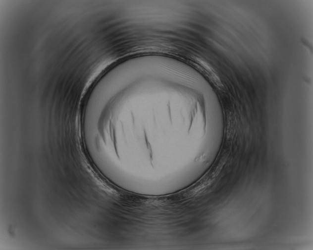 X0000091920796200710031038