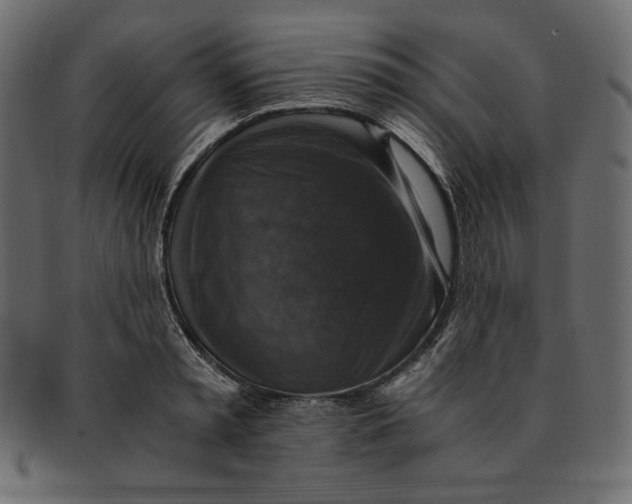 X0000091920797200710031038