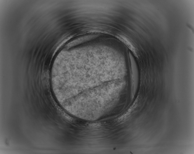 X0000091920798200710031038