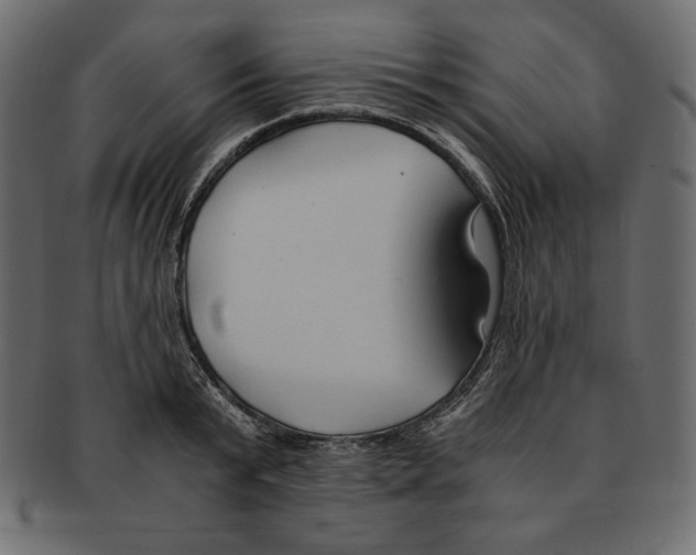 X0000091920799200710031038