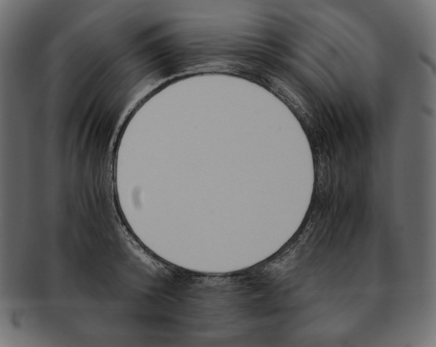 X0000091920800200710031038