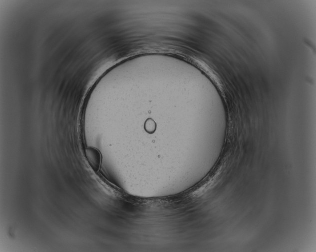 X0000091920803200710031038
