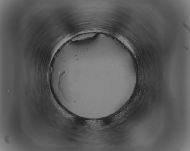 X0000091920805200710031038