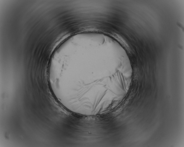 X0000091920806200710031038
