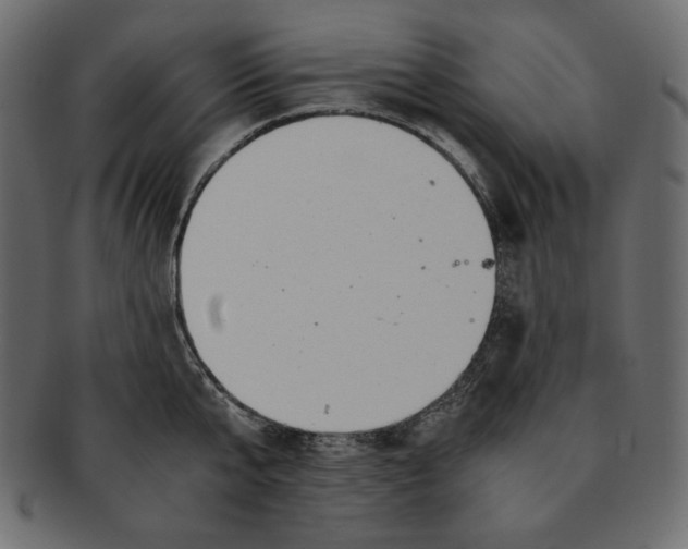 X0000091920807200710031038