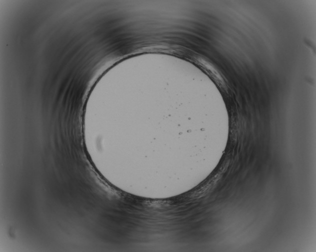 X0000091920808200710031038