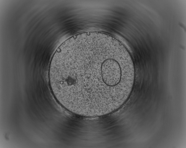 X0000091920810200710031038