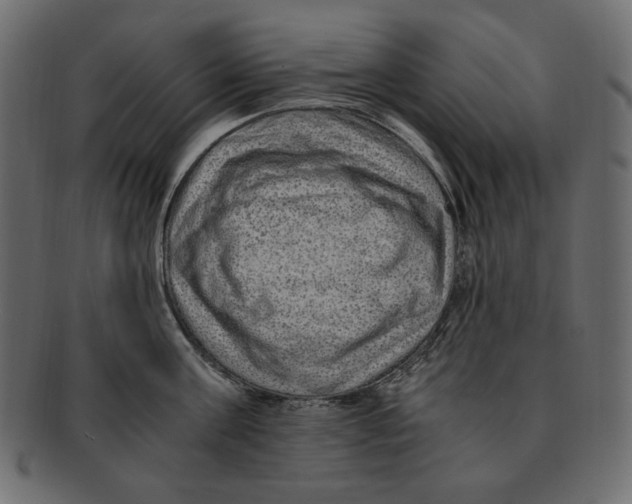X0000091920811200710031038