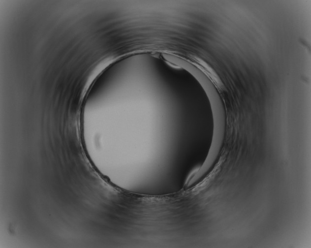X0000091920812200710031038